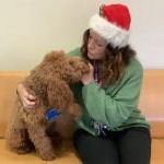 WBdog
